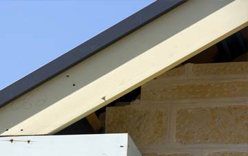 Treloquithack fascia repairs