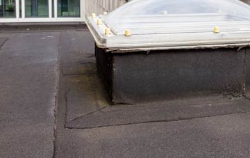 disadvantages of Treloquithack flat roofs