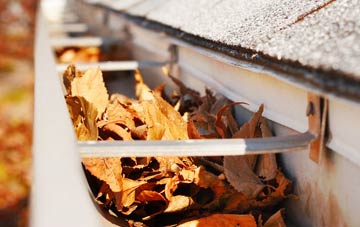 Treloquithack gutter cleaning companies
