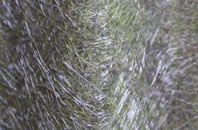 Treloquithack fibreglass roof work